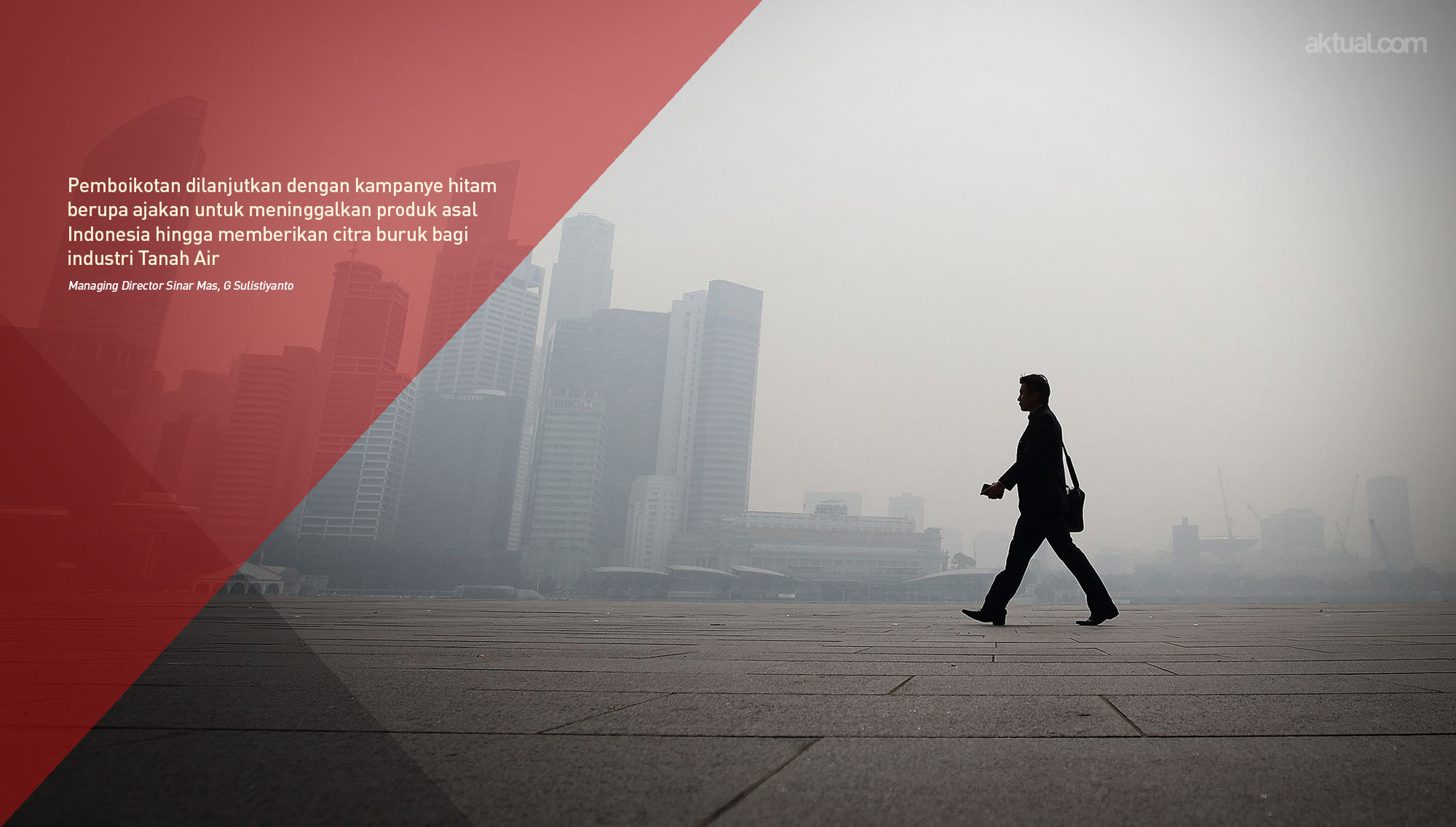 Terkait Pembakaran Hutan, Supermarket Singapura Boikot Produk Tisu Indonesia