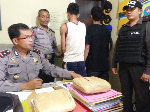 Tersangka bawa ganja