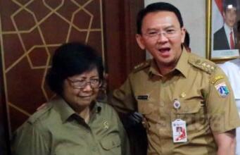 Reklamasi Dihentikan Sementara, Ahok Tetap Merasa Tidak Salah