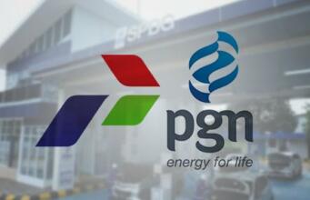 Kajian Tak Komprehensif, Holding Migas Berakibat Fatal Holding Energi PGN-Pertamina