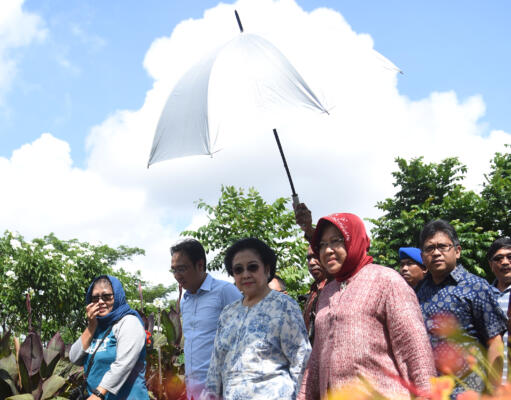 Risma Dipanggil Mega, Dukungan PDIP Akan Total di Pilgub DKI