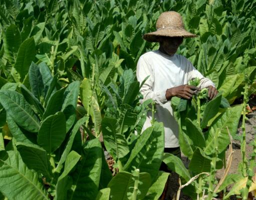 Menkeu Naikkan Cukai Tembakau Hingga 13,46 Persen