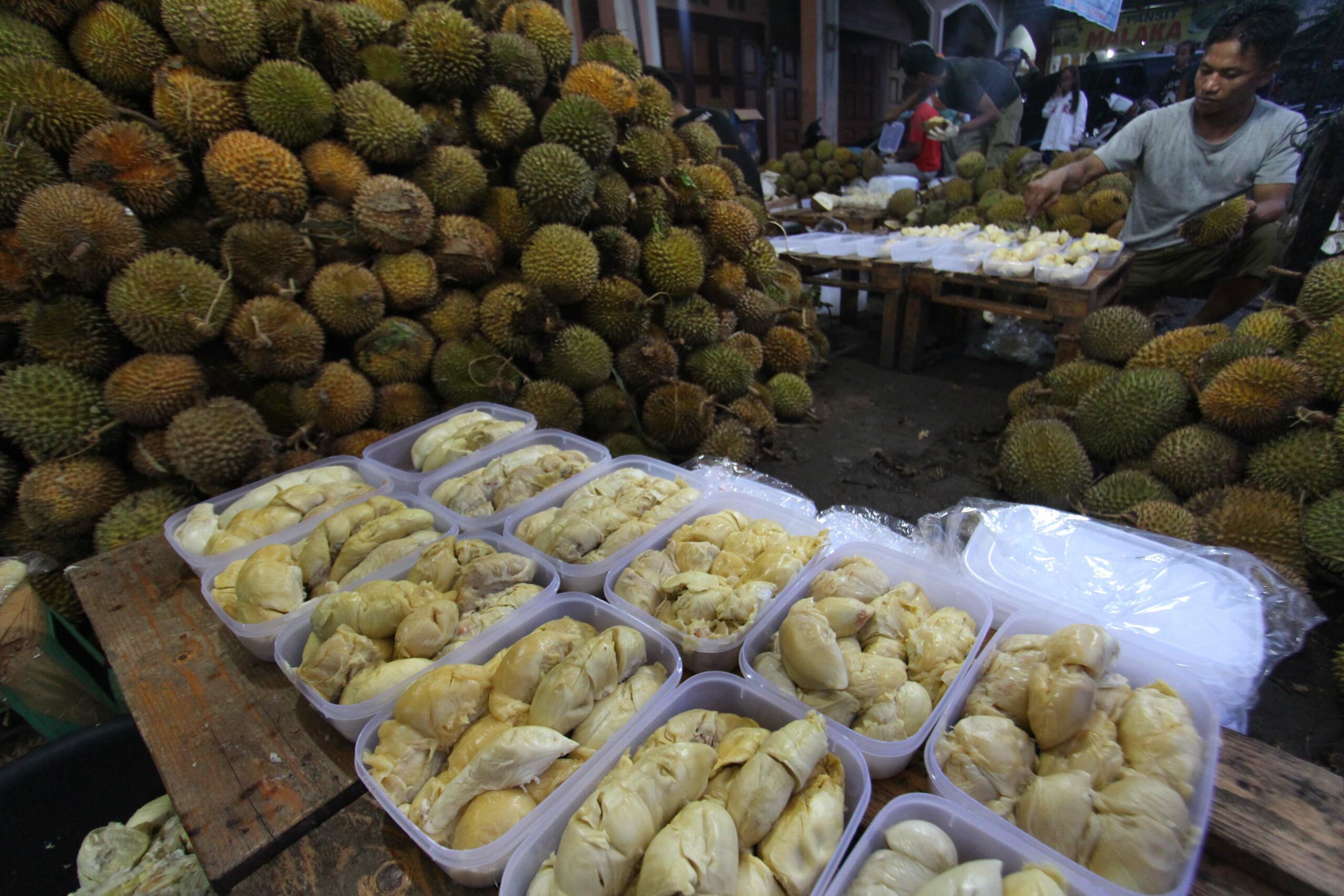 Kalteng Siap Budi Daya Durian Varietas Gelapir - Aktual.com