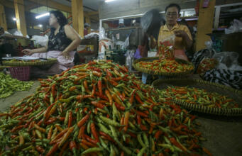 Harga Ayam, Telur Hingga Cabai Merangkak naik