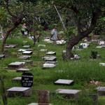 Suasana di sekitar makam TPU Karet Bivak, Jakarta, Selasa (28/2/2017). Dinas Kehutanan DKI Jakarta mengalokasikan dana Rp100 miliar untuk membenahi sekaligus menambah lahan pemakaman pada 2017. AKTUAL/Munzir