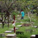 Suasana di sekitar makam TPU Karet Bivak, Jakarta, Selasa (28/2/2017). Dinas Kehutanan DKI Jakarta mengalokasikan dana Rp100 miliar untuk membenahi sekaligus menambah lahan pemakaman pada 2017. AKTUAL/Munzir