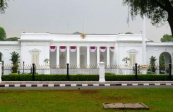 MEMBACA PETA POLITIK ISTANA