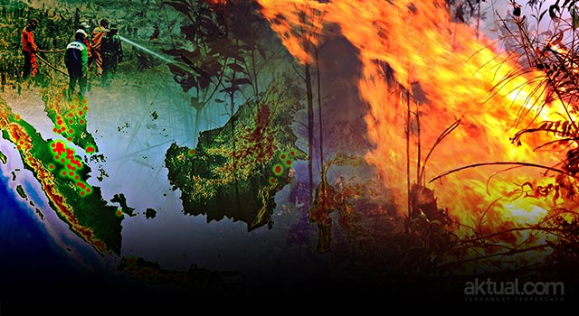 BNPB Catat Kemunculan 282 Titik Api, Terbanyak Di Kalbar 150 Titik Api