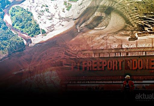 Dewan Pertanyakan Kelanjutan Temuan BPK Soal Freeport