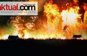 Kebakaran Hutan dan Lahan Terjadi Lagi, Kapan Berani Diungkap?