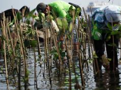 Perdagangan Karbon Indonesia–Uni Eropa, DPR Tekankan Tata Kelola dan Kepastian Hukum