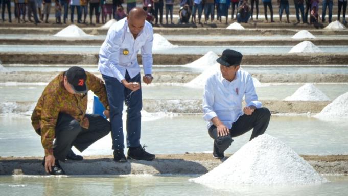 Presiden Jokowi (kanan) didampingi Menteri Perindustrian Airlangga Hartarto (kiri) dan Gubernur NTT, Viktor Laiskodat (tengah) meninjau tambak garam di Desa Nunkurus, Kecamatan Kupang Timur, Kabupaten Kupang, NTT. (Foto: Humas Setkab)