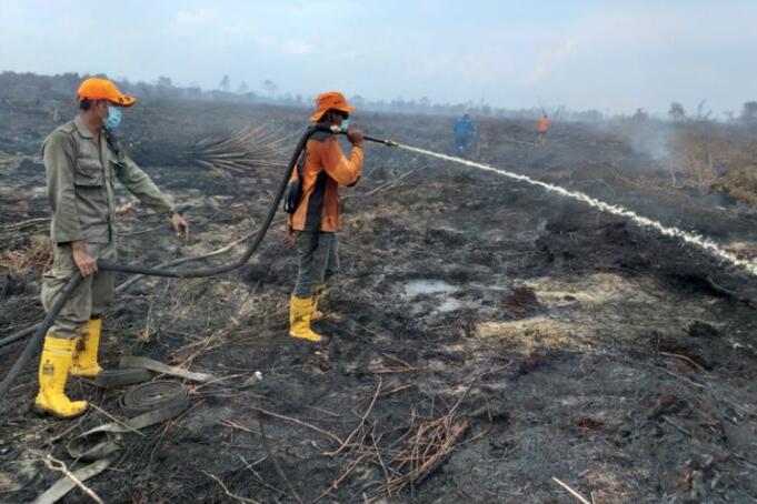 Kebakaran hutan dan lahan (karhutla) di Kelurahan Bangsal Aceh, Kecamatan Sungai Sembilan, Kota Dumai, Riau, Senin (18/2/2019).(KOMPAS.com/IDON TANJUNG)