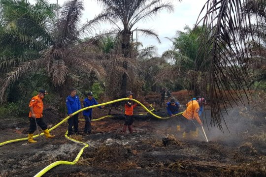 Tim gabungan BPBD Pasaman Barat berupaya memadamkan api di lahan plasma Kelapa Batang Alin Permai, Jorong Lubuk Juangan, Nagari Sungai Aur, Kecamatan Sungai Aur, Sabtu (29/2/2020).