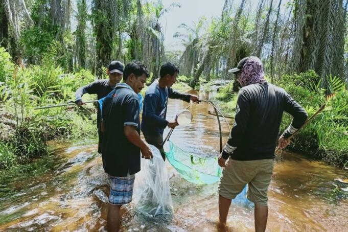 Petugas Dinas Perikanan Kabupaten Mukomuko bersama masyarakat nelayan menangkap anak ikan mikih untuk dipelihara dalam aquarium dan kolam di Balai Benih Ikan (BBI).(Foto Istimewa)