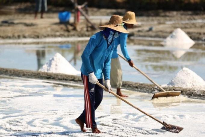 Ilustrasi - aktivitas petani di tambak garam. ANTARA/HO KKP