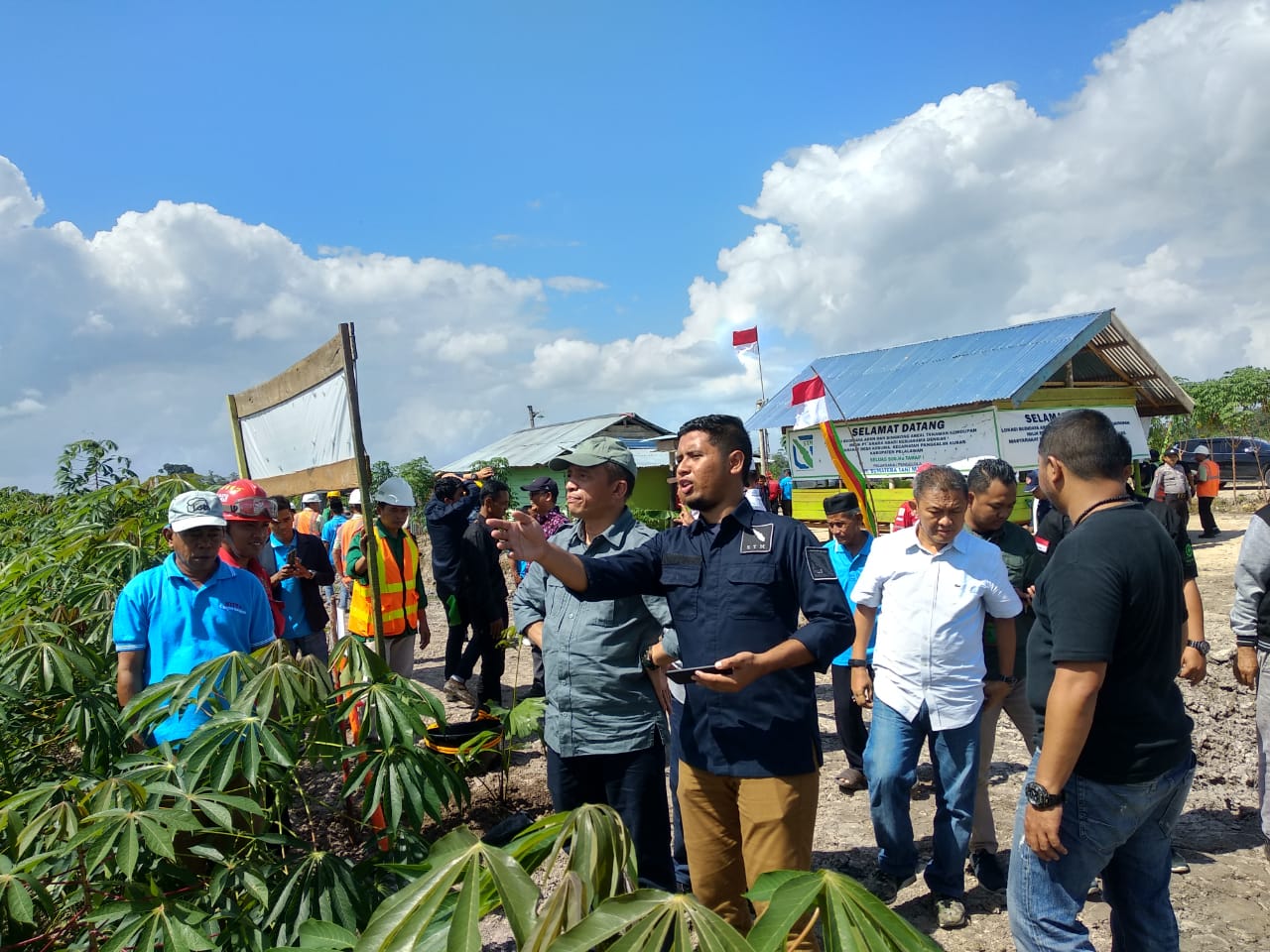 Penipuan Berkedok Investasi Singkong dan Aren di Riau oleh PT STM