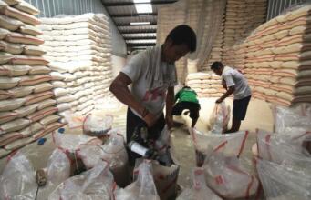 Sepanjang 2021 Tidak Ada Impor Beras