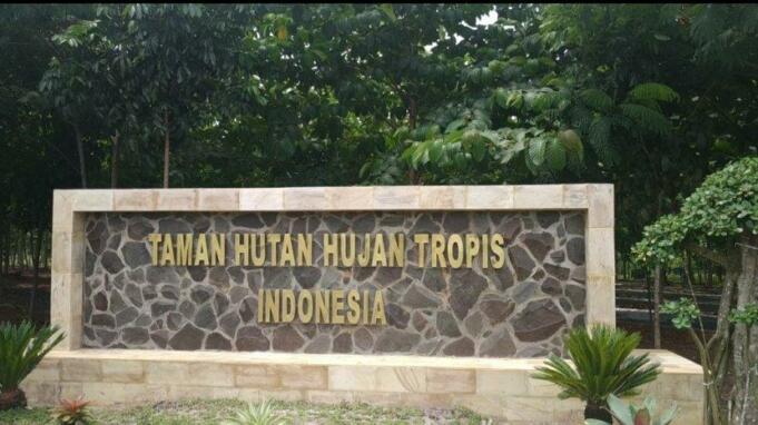 Taman Hutan Hujan Tropis Indonesia di Banjarbaru, Kalimantan Selatan