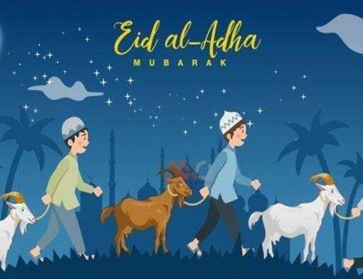 Ini Dia Tips Berqurban Bebas PMK