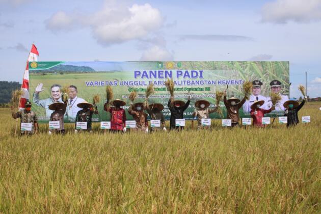 Wakil Menteri Pertanian, Harvick Hasnul Qolbi bersama Bupati Sambas melakukan Panen Raya Padi Varitas Unggul Inpari 35 dan 37 di Desa Lanom, Kecamatan Pemangkat, Kabupaten Sambas, Kalimantan Barat. Panen Raya ini juga dihadiri Anggota Komisi IV DPR-RI, Maria Lestari