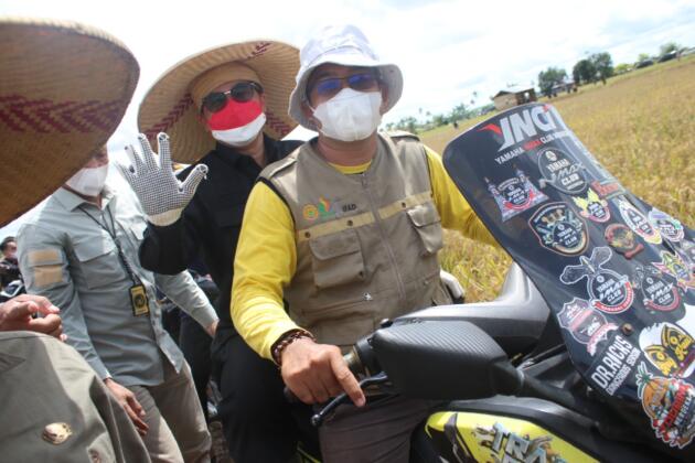 Wakil Menteri Pertanian, Harvick Hasnul Qolbi bersama Bupati Sambas melakukan Panen Raya Padi Varitas Unggul Inpari 35 dan 37 di Desa Lanom, Kecamatan Pemangkat, Kabupaten Sambas, Kalimantan Barat. Panen Raya ini juga dihadiri Anggota Komisi IV DPR-RI, Maria Lestari