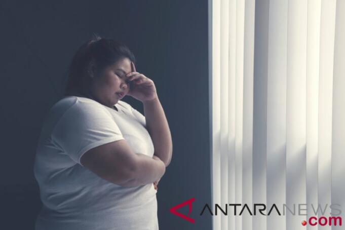 Obesitas/ANTARA