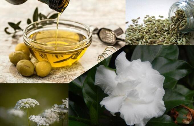 Screenshot_2021-10-20-07-42-41-25_40deb401b9ffe8e1df2f1cc5ba480b12