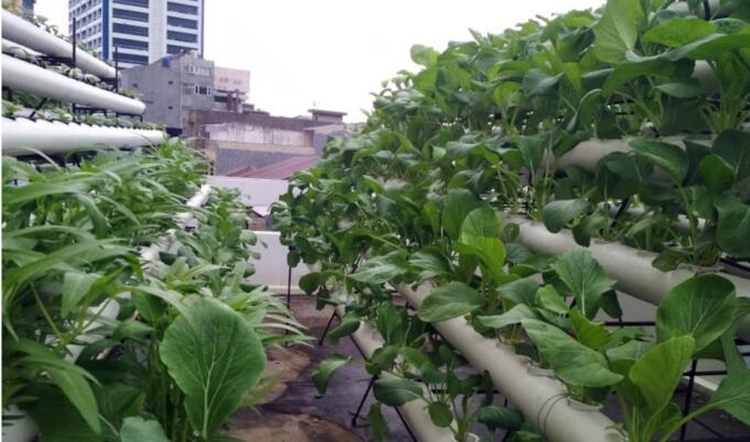 Screenshot_2021-11-11-10-28-50-32_40deb401b9ffe8e1df2f1cc5ba480b12