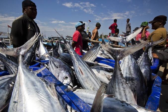 KKP Targetkan Ekspor Perikanan Capai USD 7,13 Miliar di Tahun 2022