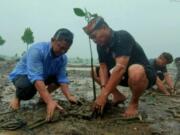 Indonesia Perjuangkan Aturan Pasar Karbon Dunia yang Adil dan Inklusif Gubernur Kaltara, Zainal A Paliwang bersama masyarakat melakukan penanaman bibit mangrove didampingi Kadis Kehutanan Kaltara, Syarifuddin belum lama ini. Foto: Istimewa