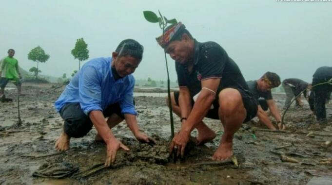 Gubernur Kaltara, Zainal A Paliwang bersama masyarakat melakukan penanaman bibit mangrove didampingi Kadis Kehutanan Kaltara, Syarifuddin belum lama ini. Foto: Istimewa Gubernur Kaltara, Zainal A Paliwang bersama masyarakat melakukan penanaman bibit mangrove didampingi Kadis Kehutanan Kaltara, Syarifuddin belum lama ini. Foto: Istimewa