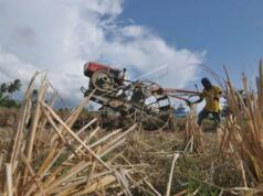 Airlangga: Pemerintah Siapkan KUR Pertanian Rp300 Triliun Tahun 2026