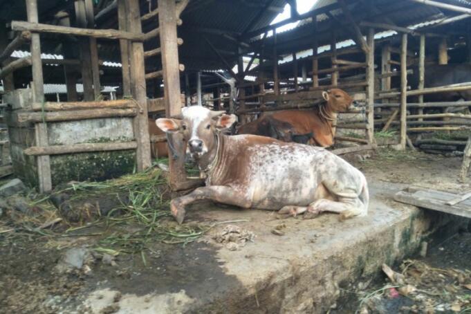 IMG_20220602_135111_1