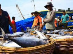 Ilustrasi Nelayan menjual ikan ke pengepul