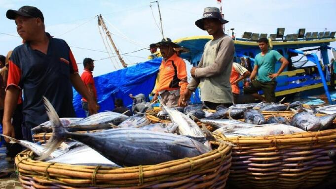 Ilustrasi Nelayan menjual ikan ke pengepul