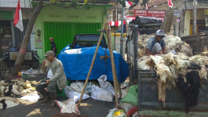 Salah satu lokasi pengepul kulit sapi di Jakarta
