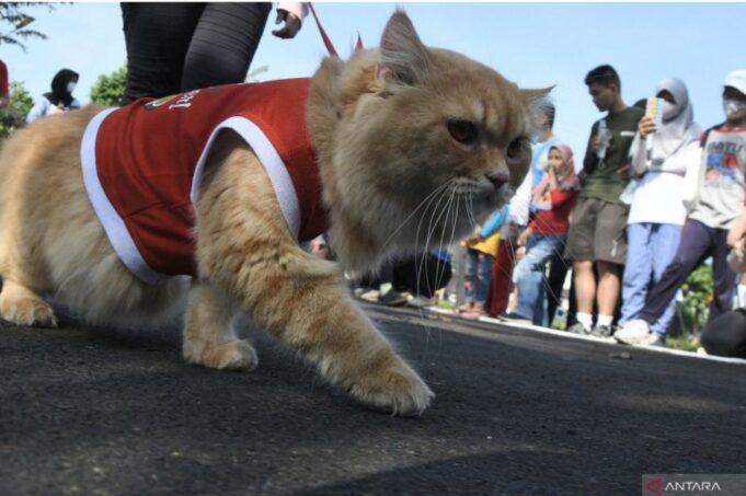 Screenshot_20220827-102849_Chrome