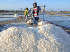 Garam Impor Bunuh Petani, DPR Desak Pemerintah Stop Impor Ilustrasi Petani mengangkat garam dari lahan