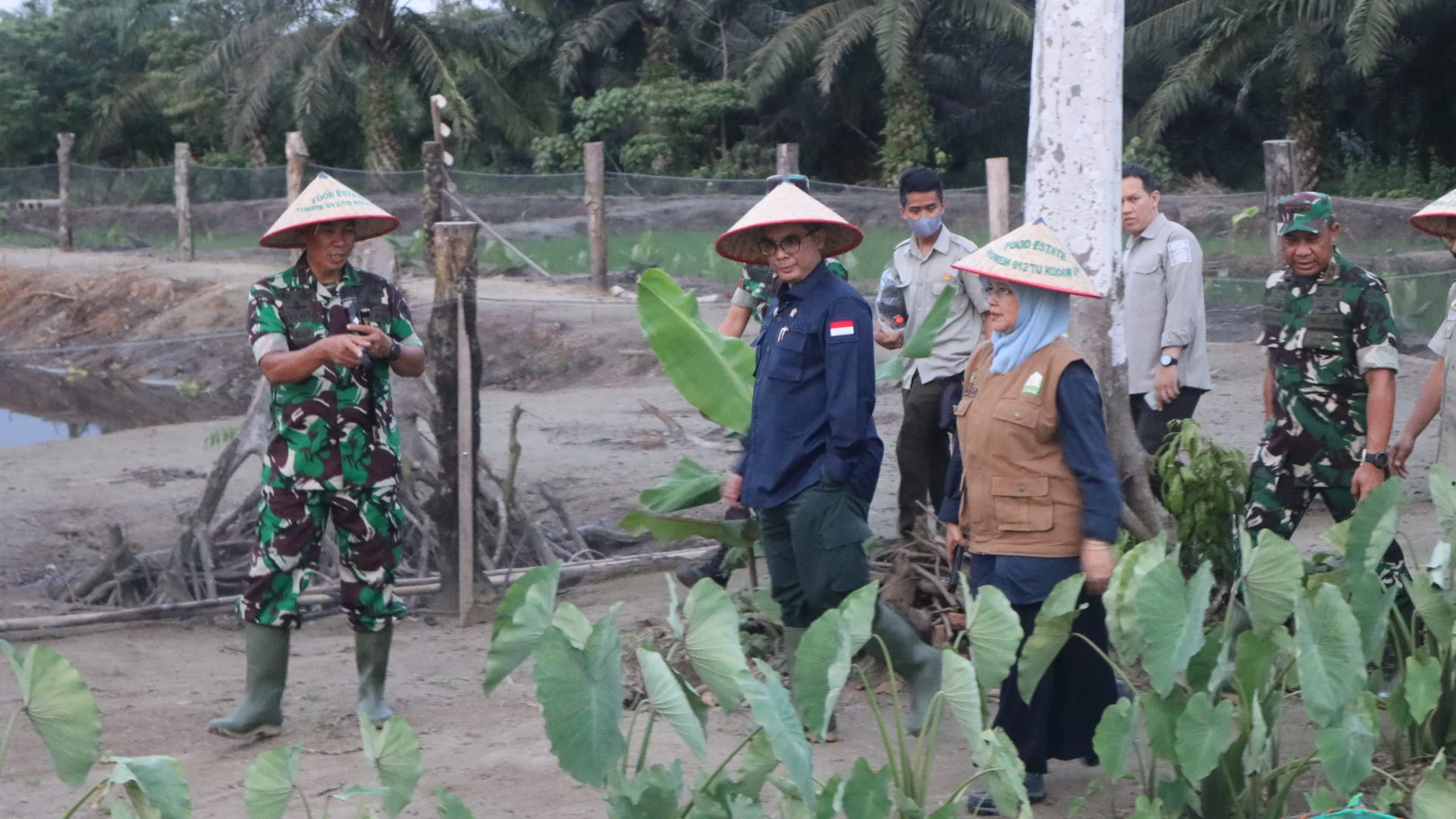 Wamentan Harvick saat meninjau kawasan food estate Makorem 012/TU Kodam Iskandar Muda, Aceh Barat. Foto: istimewa/AKTUAL 