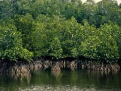 Zulhas Bahas Akselerasi Perdagangan Karbon bersama KLHK dan Utusan Khusus Presiden Prabowo