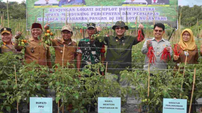 Wakil Menteri Pertanian (Wamentan), Harvick Hasnul Qolbi saat meninjau lahan hortikultura di Penajam Paser Utara (PPU). Foto: AKTUAL/istimewa