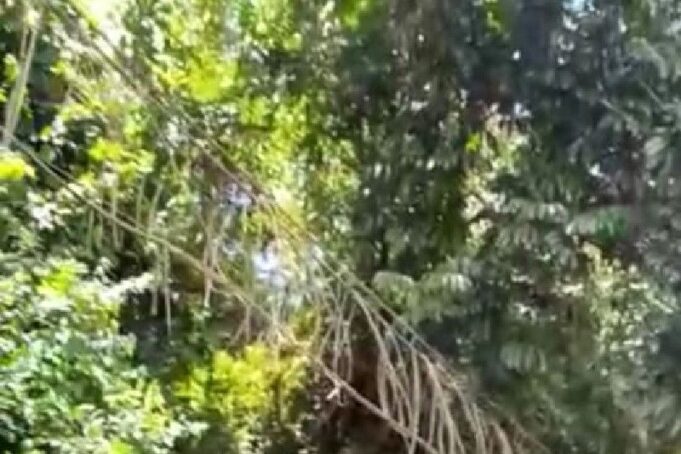 IMG-20230128-WA0097_copy_800x600_1_1