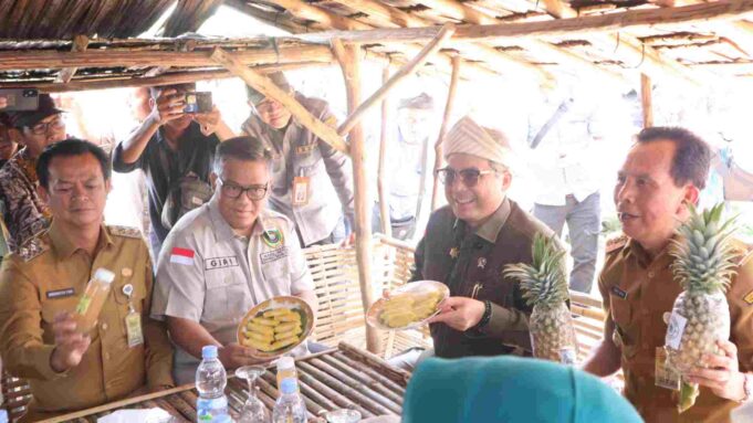 Wakil Menteri Pertanian, Harvick Hasnul Qolbi meresmikan Kawasan Budidaya Tanaman Nanas di Kota Prabumulih, Sumatera Selatan. Foto: AKTUAL/istimewa