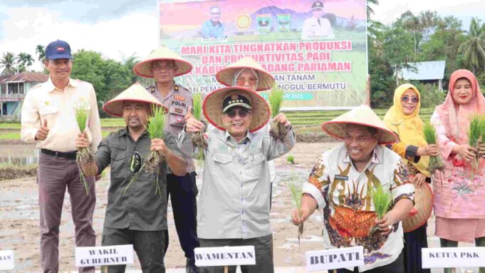 Wakil Menteri Pertanian (Wamentan), Harvick Hasnul Qolbi (tengah) didampingi Wakil Gubernur Sumatera Barat Audy Joinaldy (kiri) dan Bupati Padang Pariaman Suhatri Bu (kanan) saat menanam padi. Foto: istimewa