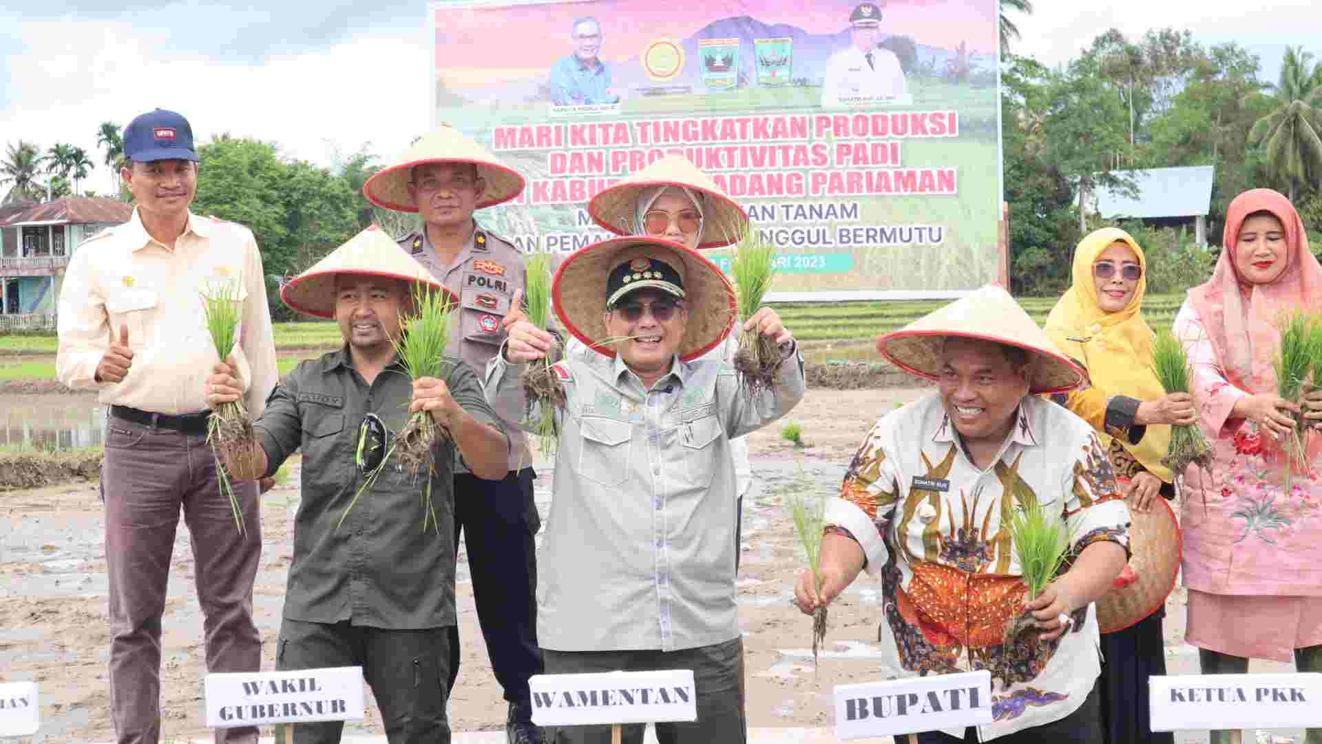 Wujudkan Akselerasi Ketahanan Pangan, Wamentan Tanam Padi Dan Panen ...