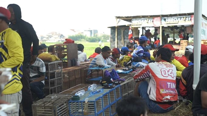 Ganjar Muda Padjajaran menggelar lomba burung merpati yang menarik di Bandung. Dengan antusiasme tinggi dari masyarakat sekitar, ratusan peserta berpartisipasi dalam acara tersebut. Lomba burung merpati ini tidak hanya menjadi ajang silaturahmi, tetapi juga mendukung para penggemar burung merpati untuk menyalurkan hobinya. Acara berlangsung dengan lancar dan sportif, sambil memperkenalkan Ganjar Pranowo sebagai calon presiden 2024. Inisiatif ini disambut baik oleh masyarakat dan menjadi kesempatan bagi mereka untuk berpartisipasi dalam hobi mereka dengan semangat yang tinggi.