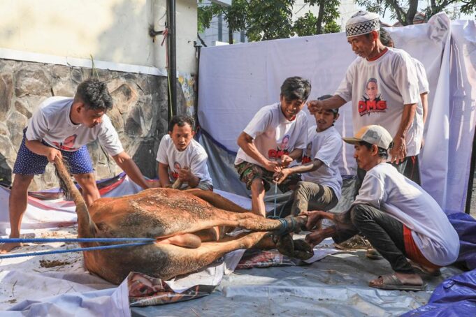 Orang Muda Ganjar Jawa Timur (OMG) mengadakan penyembelihan hewan kurban sebagai bagian dari perayaan Hari Raya Iduladha 1444H. Dalam upaya meningkatkan semangat berbagi dan saling tolong-menolong, OMG Jawa Timur menyembelih satu ekor sapi di Surabaya. Acara ini bertujuan memberikan berkah bagi masyarakat sekitar dan mempererat tali silaturahmi. Dalam tradisi warga setempat, daging kurban akan disisihkan dan dimasak bersama-sama. OMG Jawa Timur berkomitmen untuk melanjutkan program-program sosial yang meningkatkan kualitas sumber daya manusia, terutama pemuda, serta memperkuat budaya gotong royong. Selain itu, mereka juga fokus pada program penanganan stunting di Jawa Timur.