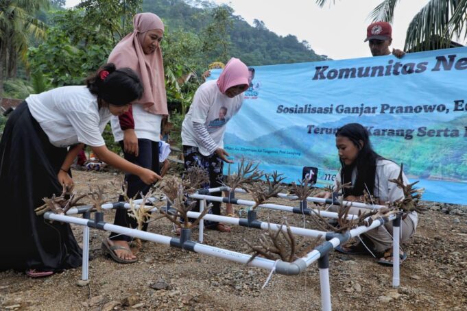 Sukarelawan nelayan Ganjar Pranowo tergabung dalam Komunitas Nelayan Pesisir (KNP) Lampung mengadakan kegiatan edukasi dan penanaman terumbu karang.