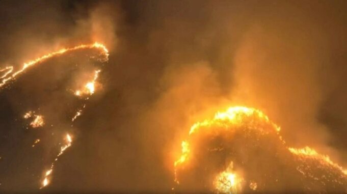 Tangkapan layar - Suasana kebakaran hutan di Maui, Hawai